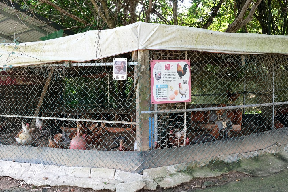 桃園大溪親子景點【富田花園農場】餵草泥馬餵小豬 浪漫水晶教堂 草泥馬冰棒 - yuki.tw