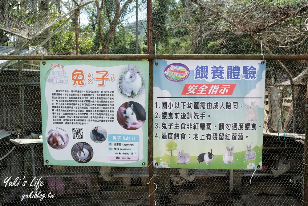 桃園大溪親子景點【富田花園農場】餵草泥馬餵小豬 浪漫水晶教堂 草泥馬冰棒 - yuki.tw