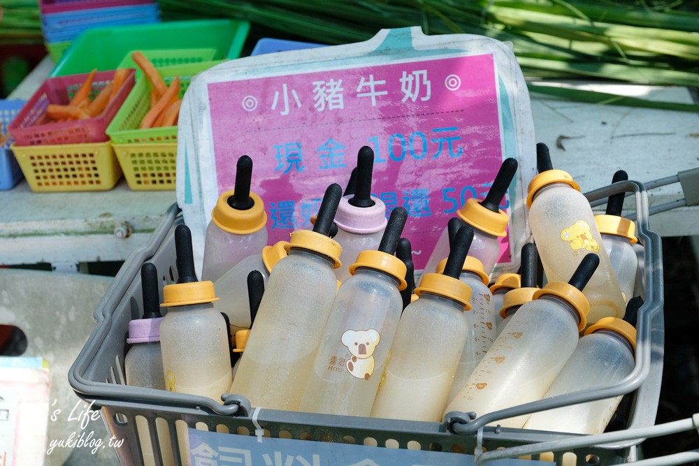 桃園大溪親子景點【富田花園農場】餵草泥馬餵小豬 浪漫水晶教堂 草泥馬冰棒 - yuki.tw