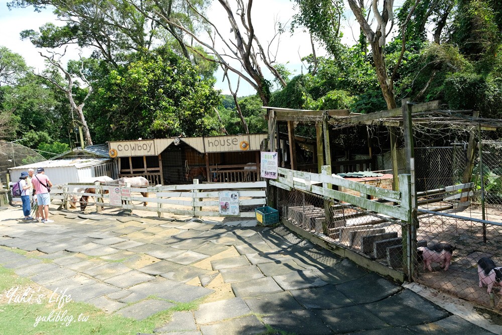 桃園大溪親子景點【富田花園農場】餵草泥馬餵小豬 浪漫水晶教堂 草泥馬冰棒 - yuki.tw