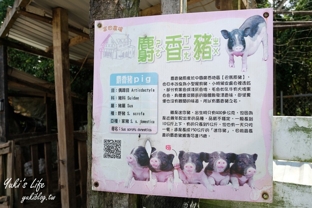 桃園大溪親子景點【富田花園農場】餵草泥馬餵小豬 浪漫水晶教堂 草泥馬冰棒 - yuki.tw