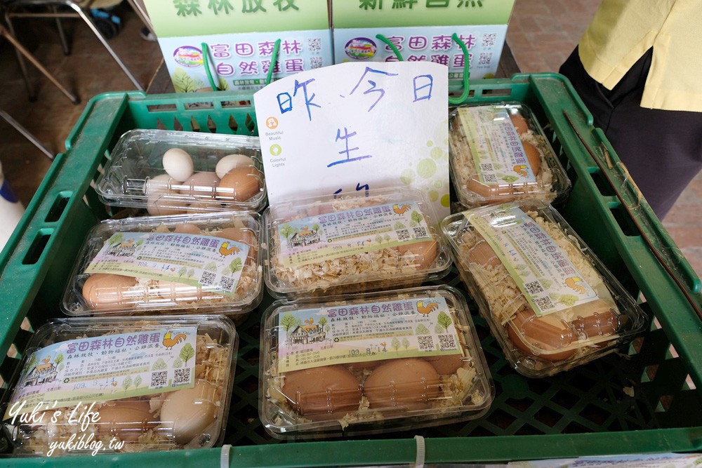 桃園大溪親子景點【富田花園農場】餵草泥馬餵小豬 浪漫水晶教堂 草泥馬冰棒 - yuki.tw