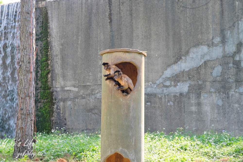 新竹景點|六福村攻略|親子一日遊暢玩5大主題,動物園,水樂園(門票) - yuki.tw