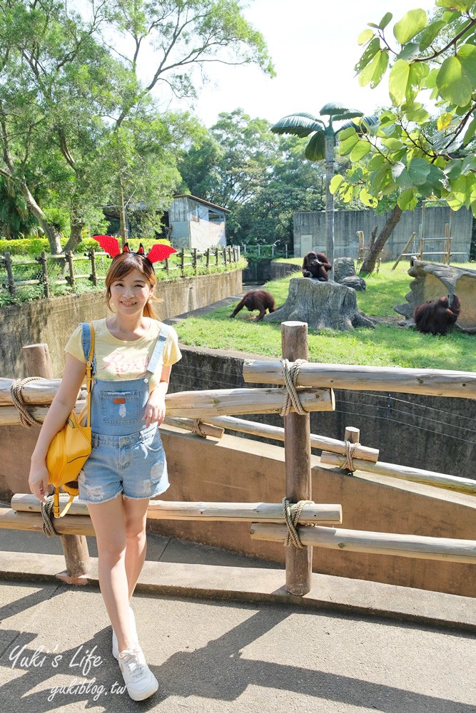 新竹景點|六福村攻略|親子一日遊暢玩5大主題,動物園,水樂園(門票) - yuki.tw