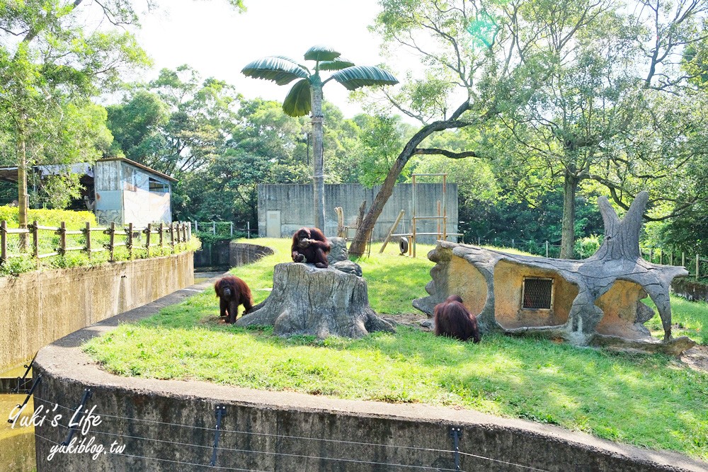 新竹景點|六福村攻略|親子一日遊暢玩5大主題,動物園,水樂園(門票) - yuki.tw