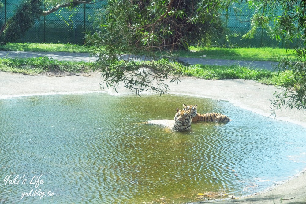 新竹景點|六福村攻略|親子一日遊暢玩5大主題,動物園,水樂園(門票) - yuki.tw