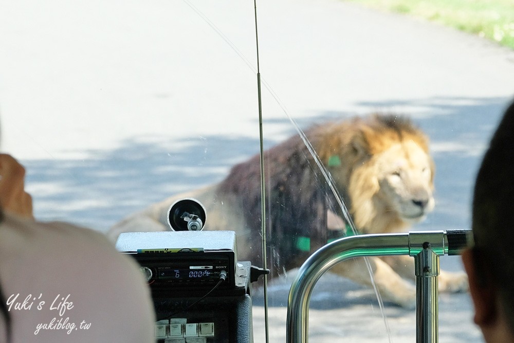 新竹景點|六福村攻略|親子一日遊暢玩5大主題,動物園,水樂園(門票) - yuki.tw