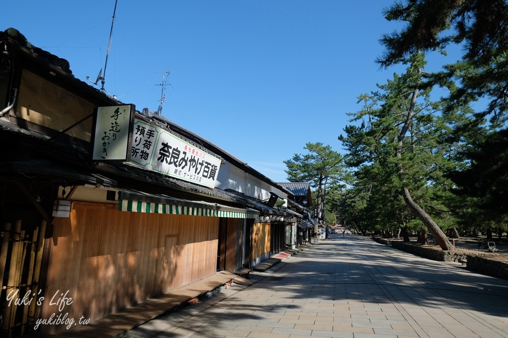 奈良一日遊推薦┃奈良公園┃親子賞鹿漫遊~專人接送交通全搞定！ - yuki.tw