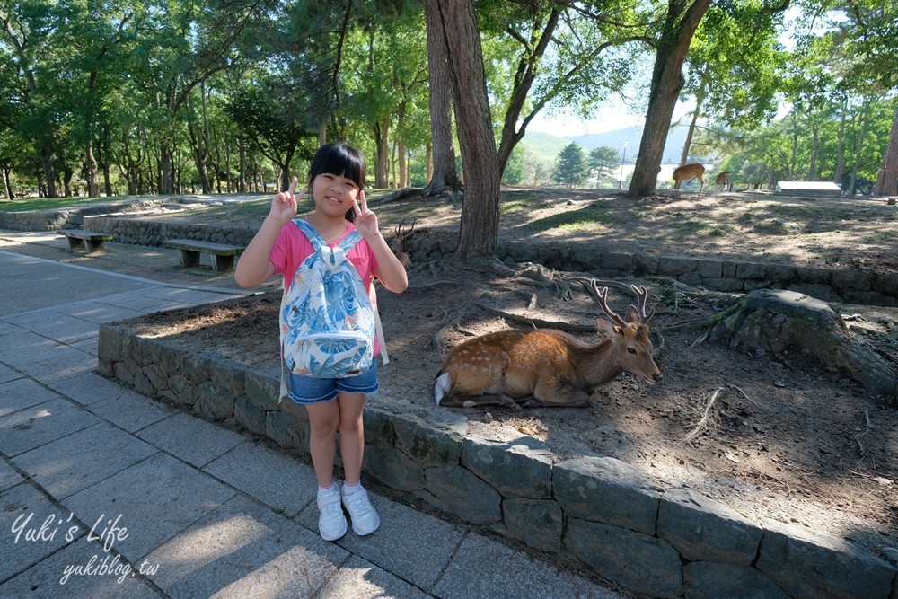 奈良一日遊推薦┃奈良公園┃親子賞鹿漫遊~專人接送交通全搞定！ - yuki.tw