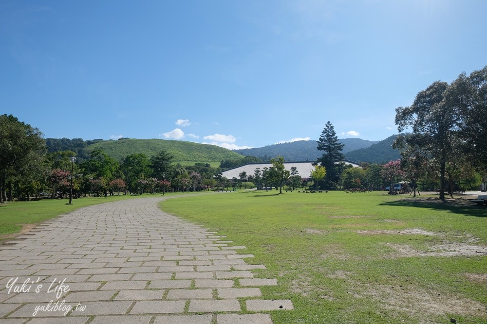 奈良一日遊推薦┃奈良公園┃親子賞鹿漫遊~專人接送交通全搞定！ - yuki.tw