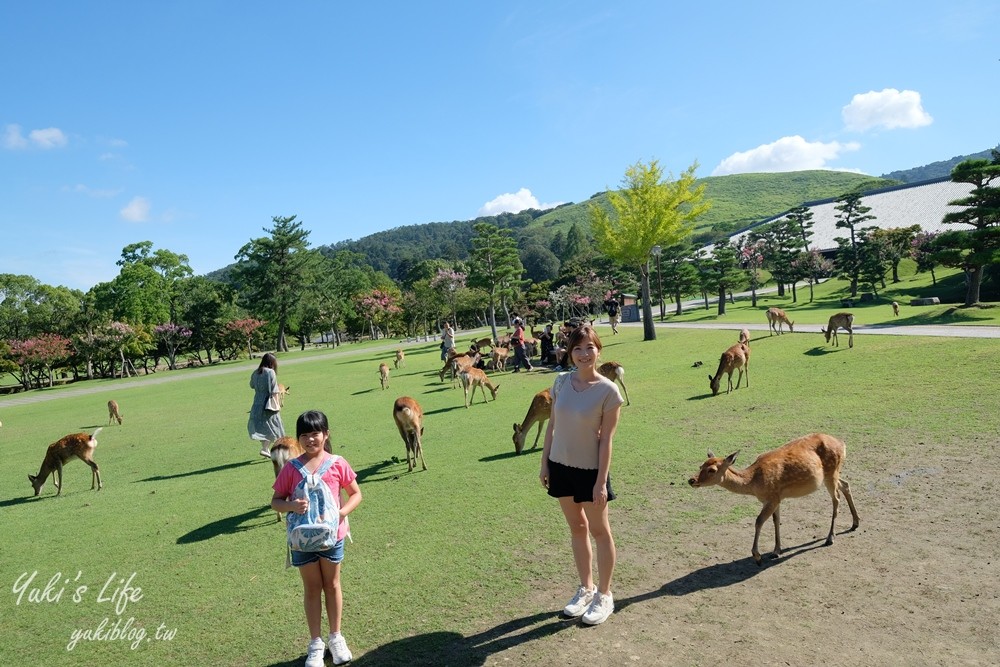 奈良一日遊推薦┃奈良公園┃親子賞鹿漫遊~專人接送交通全搞定！ - yuki.tw