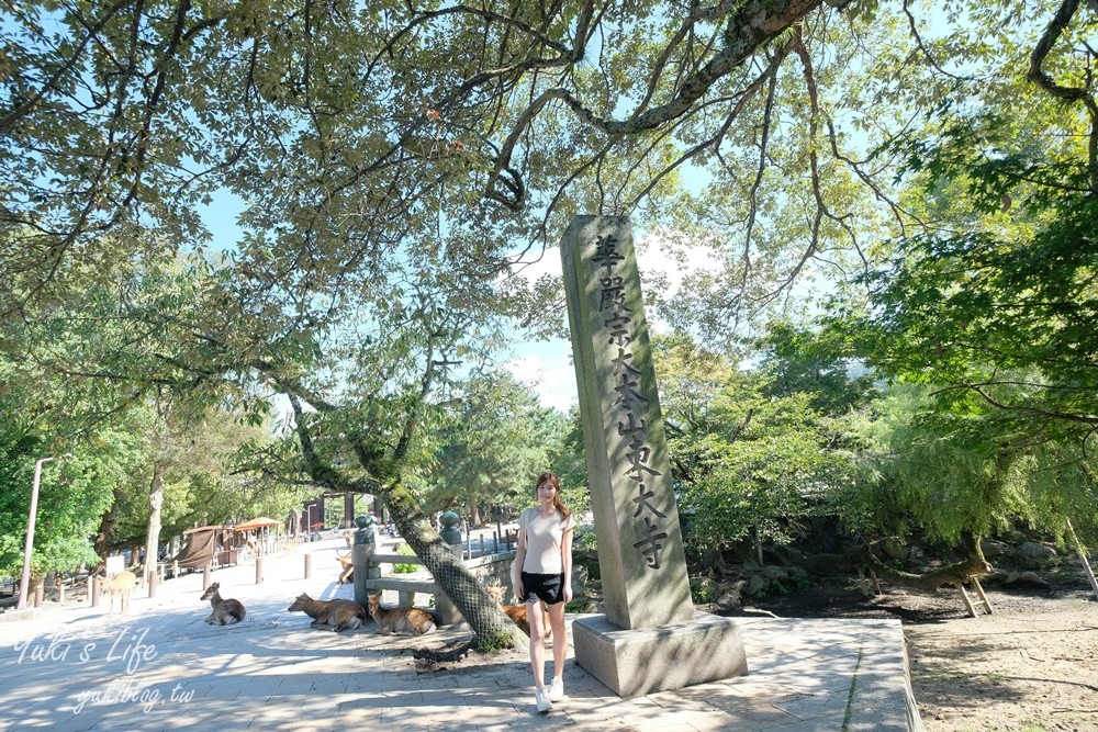 奈良一日遊推薦┃奈良公園┃親子賞鹿漫遊~專人接送交通全搞定！ - yuki.tw