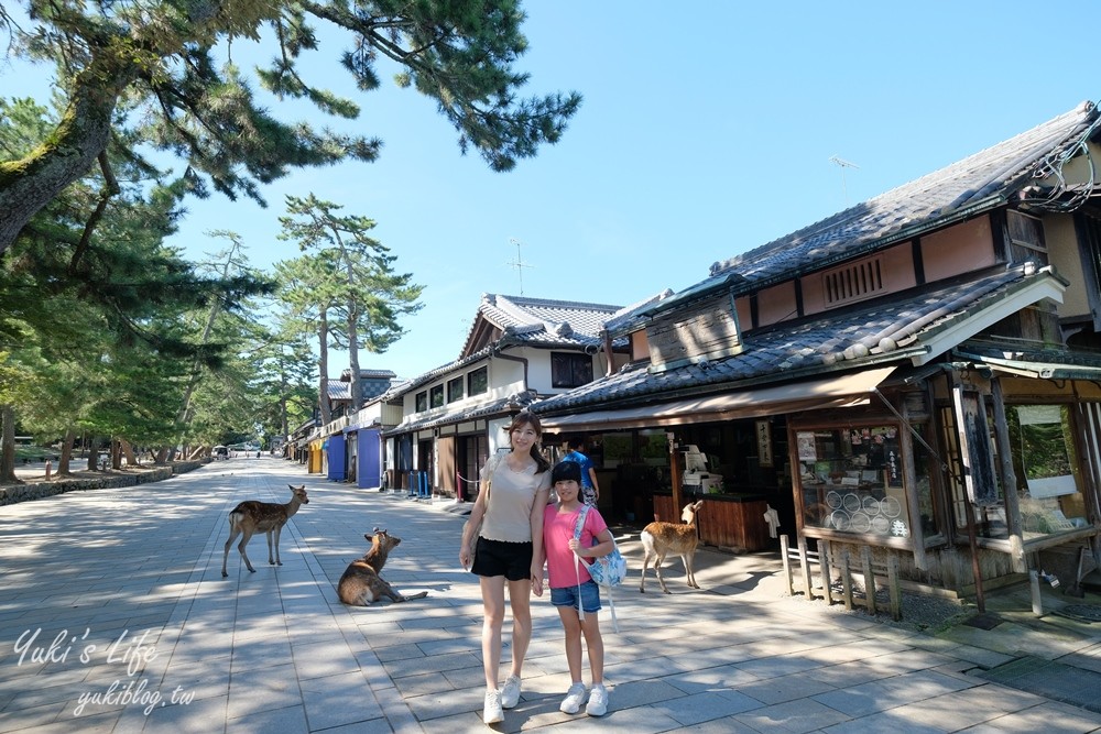 奈良一日遊推薦┃奈良公園┃親子賞鹿漫遊~專人接送交通全搞定！ - yuki.tw