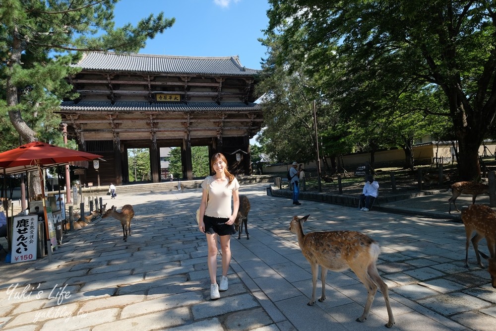 奈良一日遊推薦┃奈良公園┃親子賞鹿漫遊~專人接送交通全搞定！ - yuki.tw