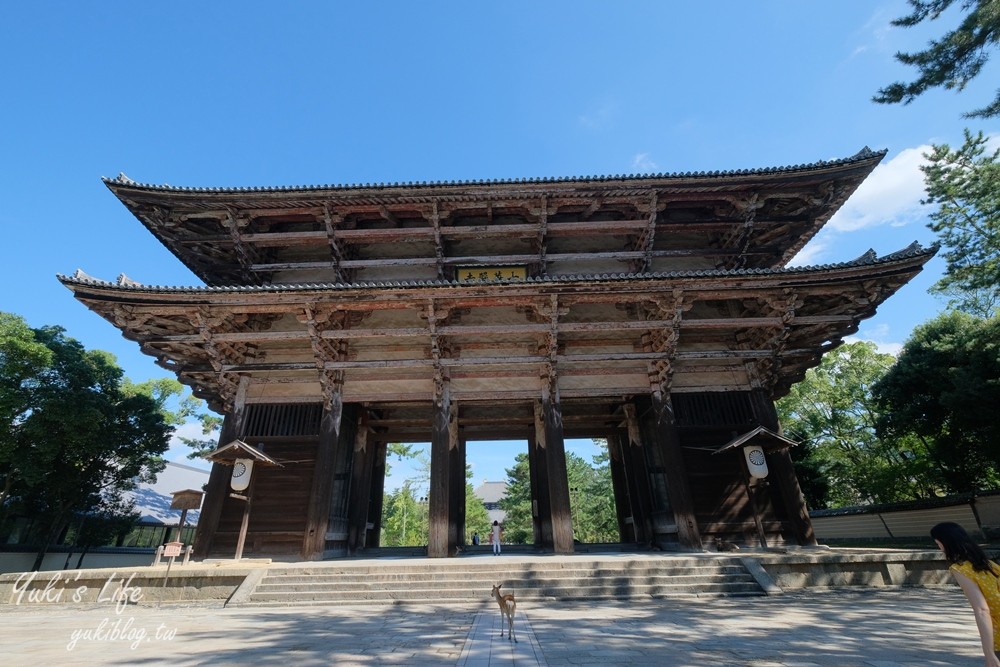 奈良一日遊推薦┃奈良公園┃親子賞鹿漫遊~專人接送交通全搞定！ - yuki.tw