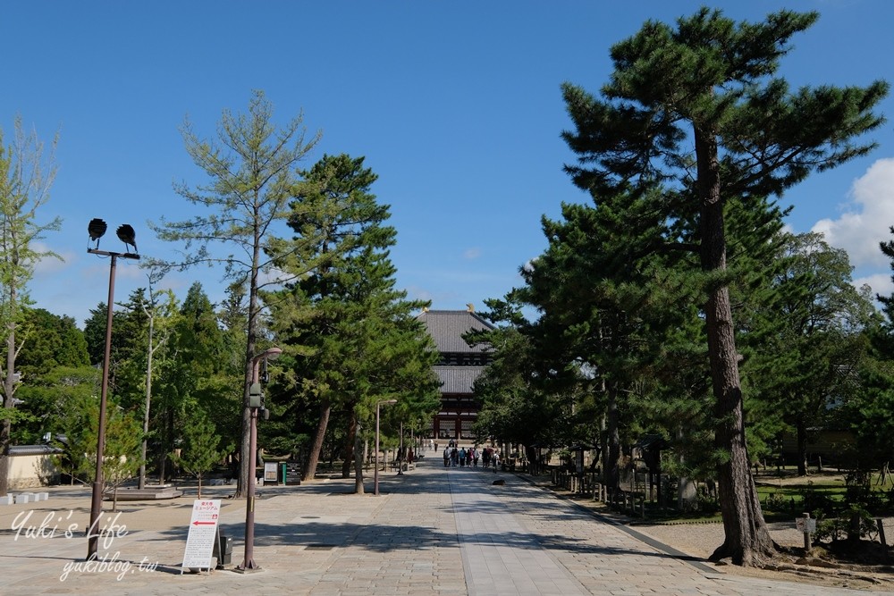 奈良一日遊推薦┃奈良公園┃親子賞鹿漫遊~專人接送交通全搞定！ - yuki.tw