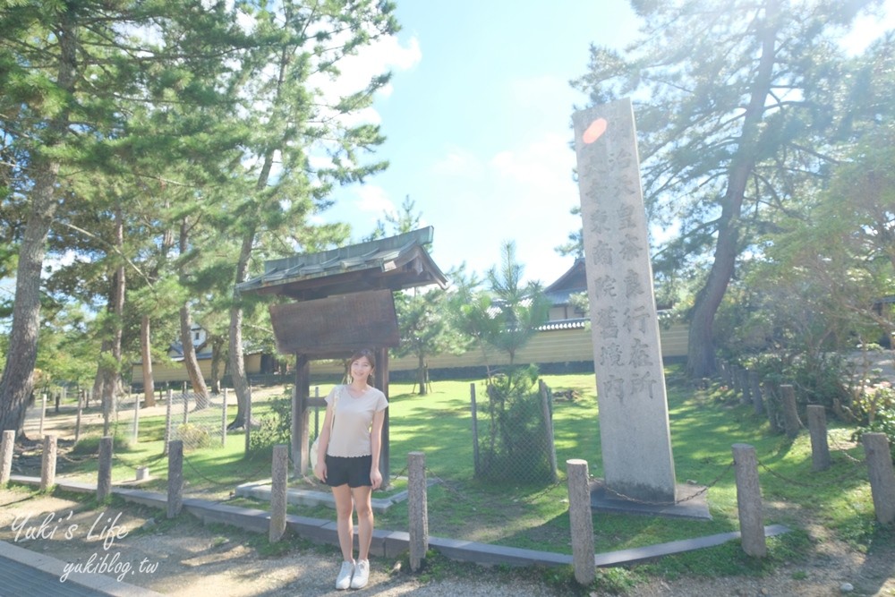 奈良一日遊推薦┃奈良公園┃親子賞鹿漫遊~專人接送交通全搞定！ - yuki.tw