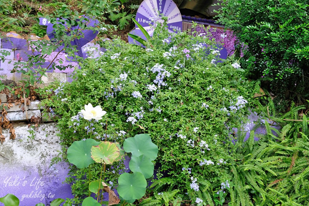 苗栗西湖景點︱噢哈娜咖啡屋︱紫色浪漫約會好去處，還有草泥馬好萌 - yuki.tw