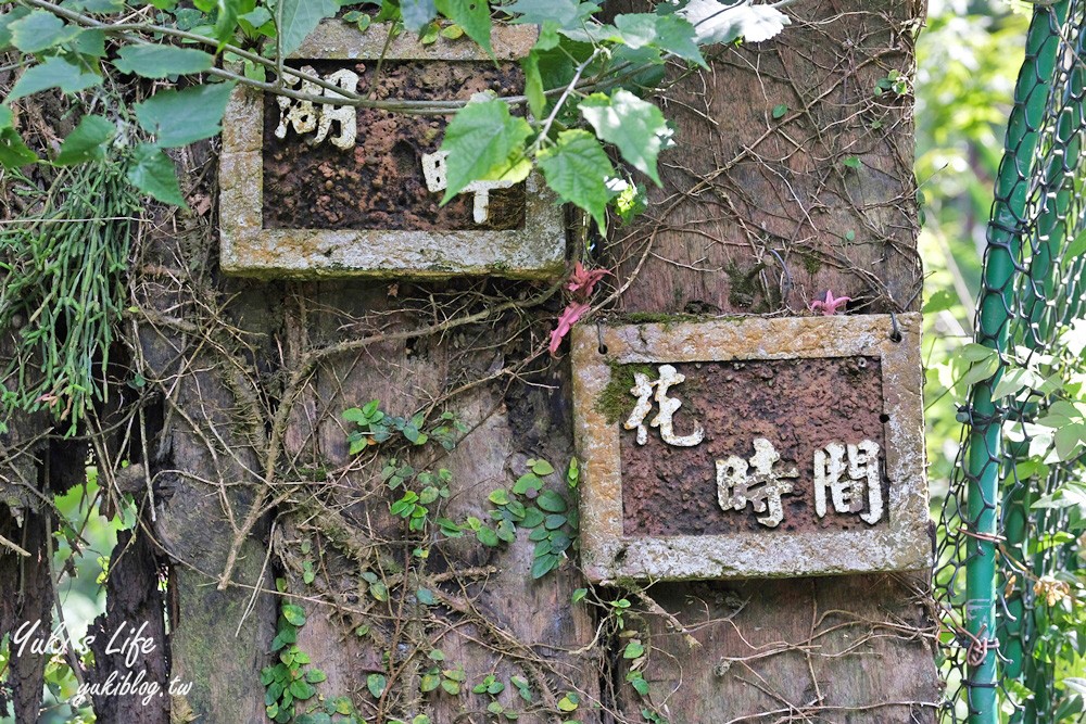 苗栗大湖【湖畔花時間】一隻大白鵝景觀餐廳、苗栗溫泉住宿會館 - yuki.tw