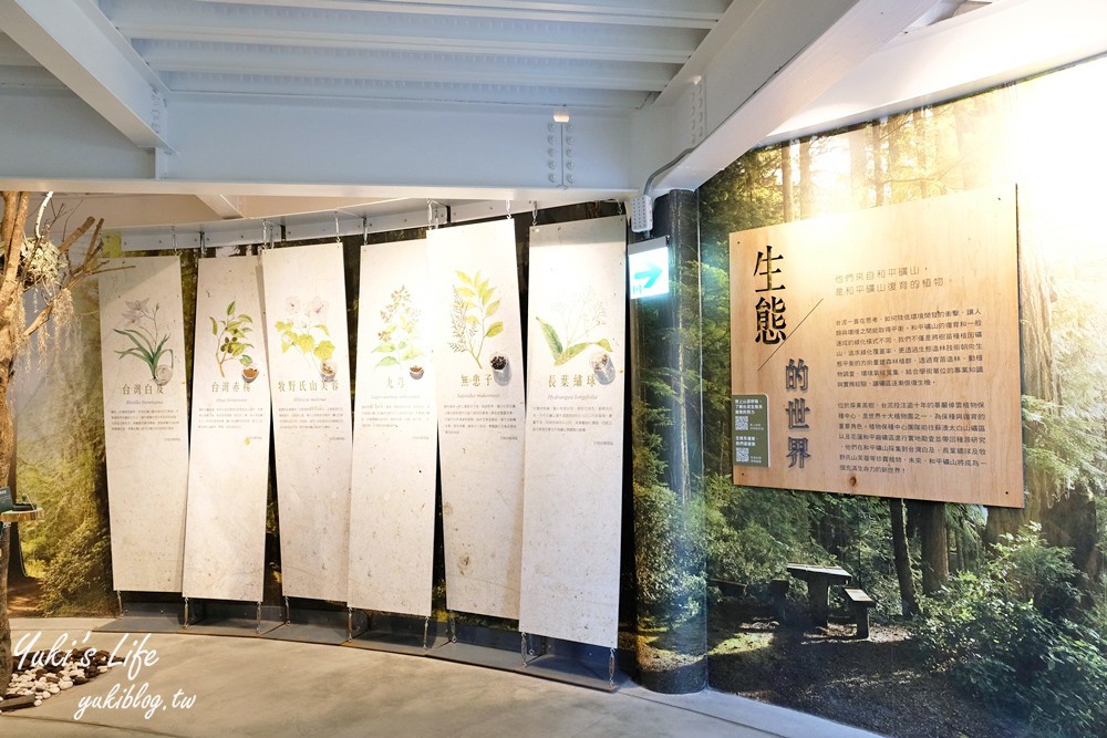 花蓮景點【台泥DAKA園區】免費休憩好去處！無限符號水舞秀、超強7-11、星巴克 - yuki.tw