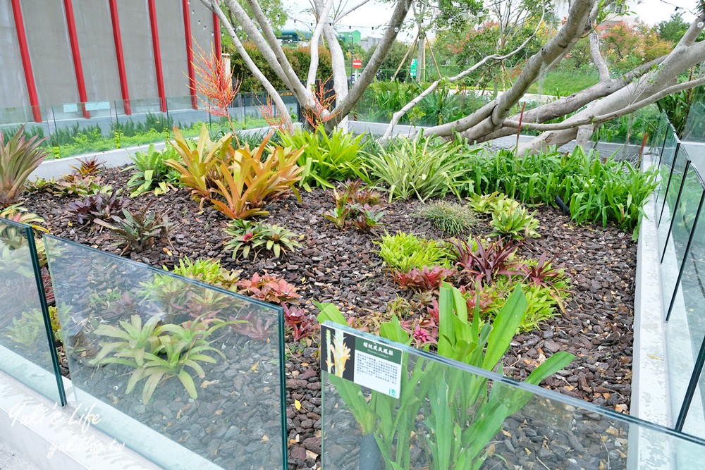 花蓮景點【台泥DAKA園區】免費休憩好去處！無限符號水舞秀、超強7-11、星巴克 - yuki.tw