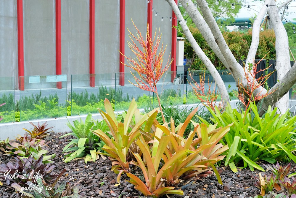 花蓮景點【台泥DAKA園區】免費休憩好去處！無限符號水舞秀、超強7-11、星巴克 - yuki.tw