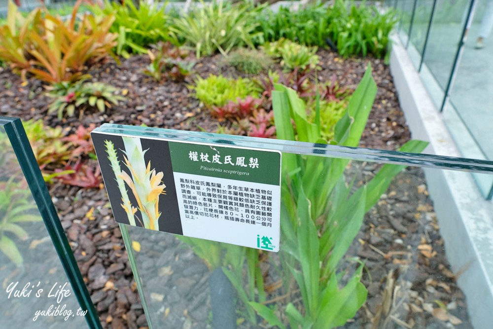 花蓮景點【台泥DAKA園區】免費休憩好去處！無限符號水舞秀、超強7-11、星巴克 - yuki.tw