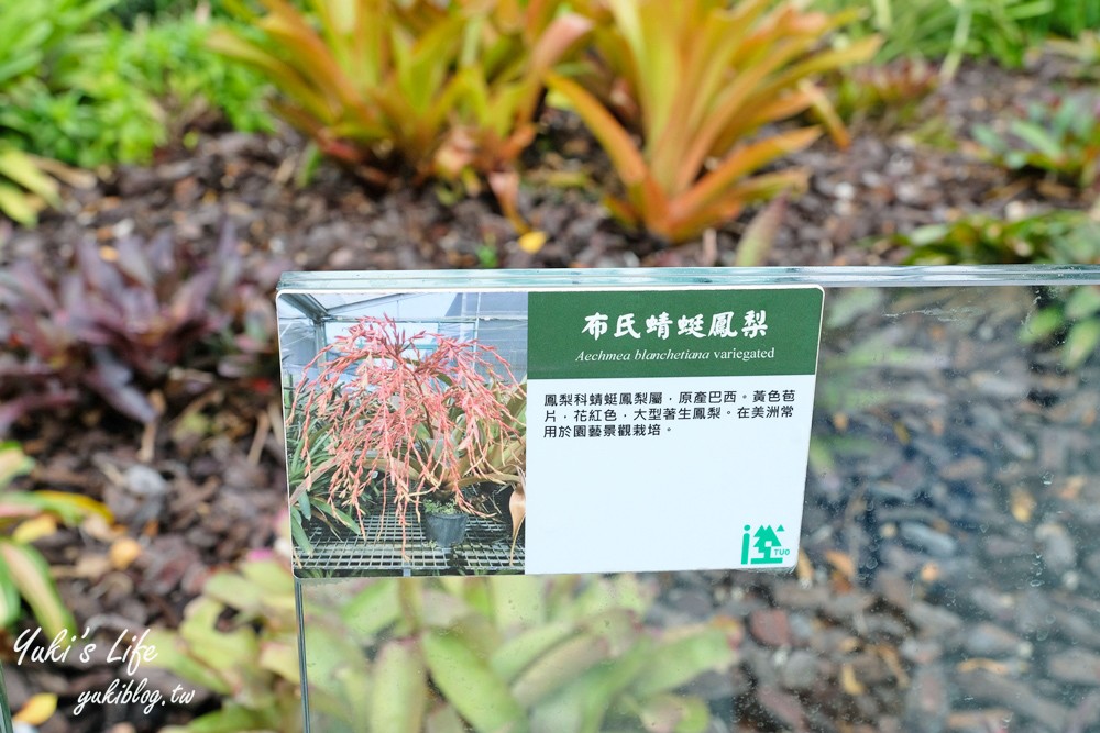 花蓮景點【台泥DAKA園區】免費休憩好去處！無限符號水舞秀、超強7-11、星巴克 - yuki.tw