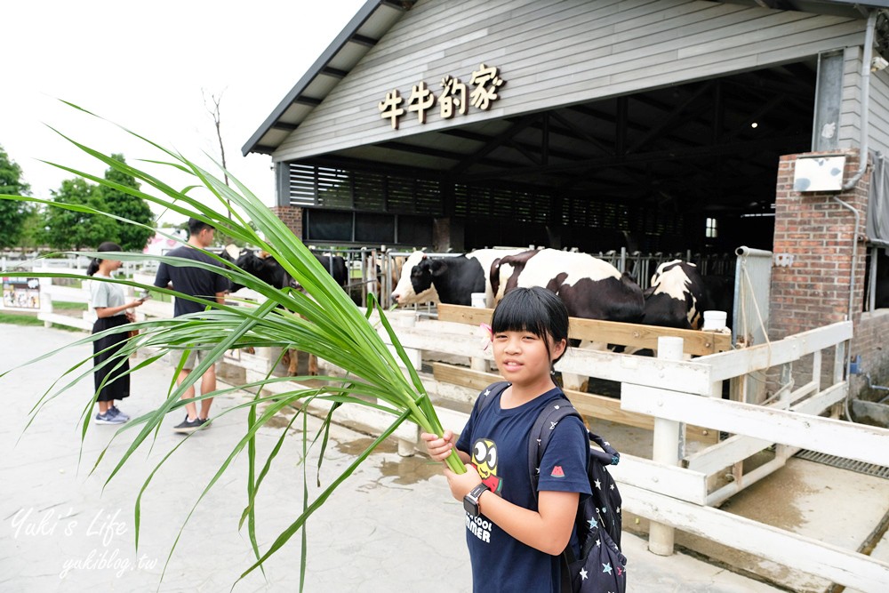 雲林景點【千巧谷牛樂園牧場】免門票乳牛主題親子好去處！玩沙、餵牛、豬舍文青咖啡館吃窯烤pizza - yuki.tw