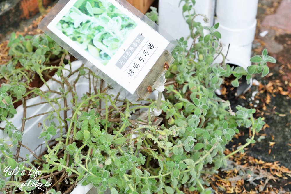 南投集集免費景點【十三目仔窯】繽紛變身親子好去處!左手香故事館、彩虹階梯步道、動物座椅 - yuki.tw