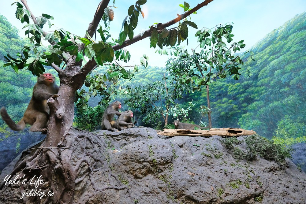 南投集集景點【特有生物研究保育中心】親子必訪~本土動植物生態館互動好多~好逛又好玩！ - yuki.tw