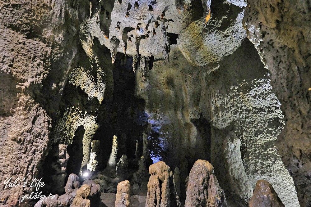 南投集集景點【特有生物研究保育中心】親子必訪~本土動植物生態館互動好多~好逛又好玩！ - yuki.tw