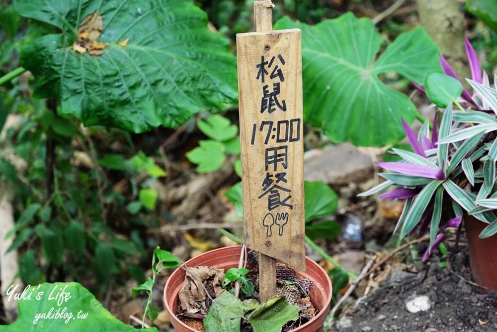 花蓮壽豐景點【山度空間】海景水晶鞦韆、三角童話帳篷、網美朝聖必訪 - yuki.tw