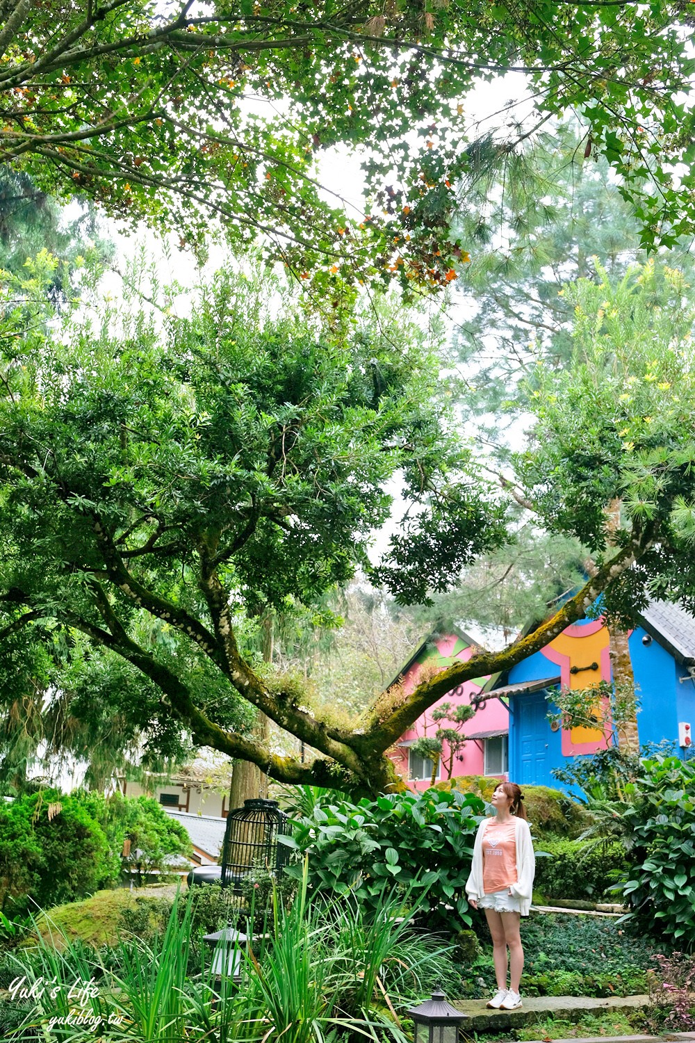 南投民宿推薦【溪頭聽濤園渡假山莊】中式風格竹筍大餐～溪頭森林遊樂區、妖怪村住宿 - yuki.tw