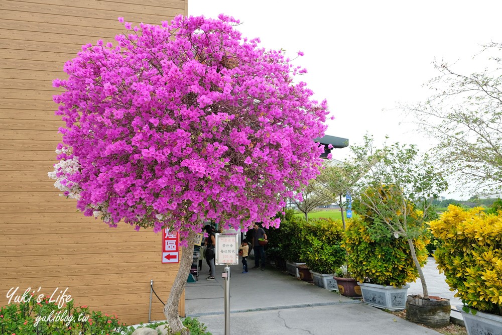 彰化芬園景點【埔茂花市】免門票玩沙坑和溜滑梯，假日親子好去處！ - yuki.tw