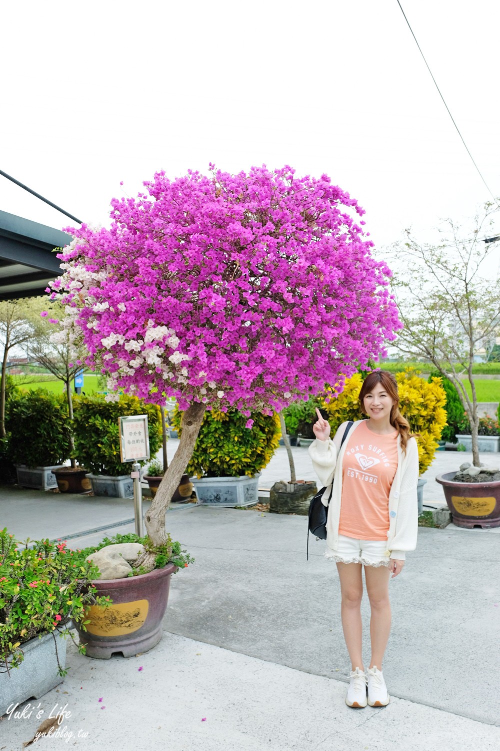 彰化芬園景點【埔茂花市】免門票玩沙坑和溜滑梯，假日親子好去處！ - yuki.tw