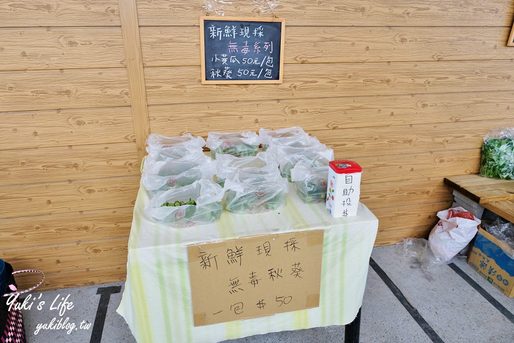 彰化芬園景點【埔茂花市】免門票玩沙坑和溜滑梯，假日親子好去處！ - yuki.tw