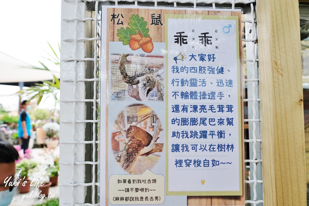 彰化芬園景點【埔茂花市】免門票玩沙坑和溜滑梯，假日親子好去處！ - yuki.tw