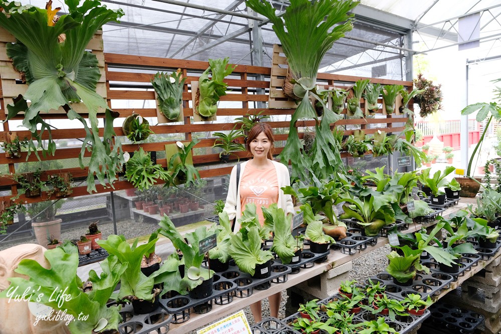 彰化芬園景點【埔茂花市】免門票玩沙坑和溜滑梯，假日親子好去處！ - yuki.tw