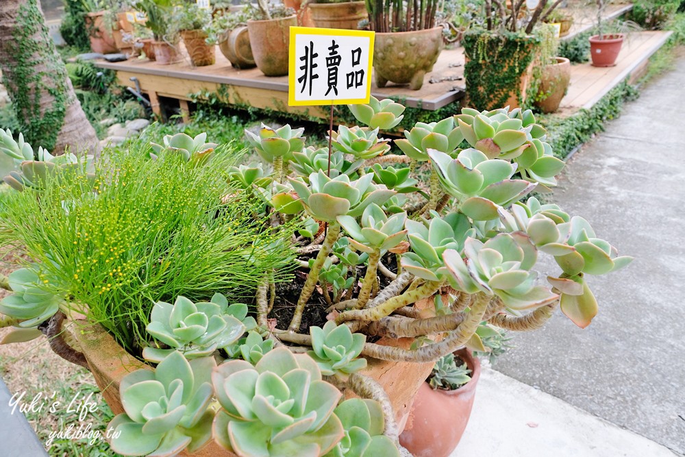 彰化芬園景點【埔茂花市】免門票玩沙坑和溜滑梯，假日親子好去處！ - yuki.tw