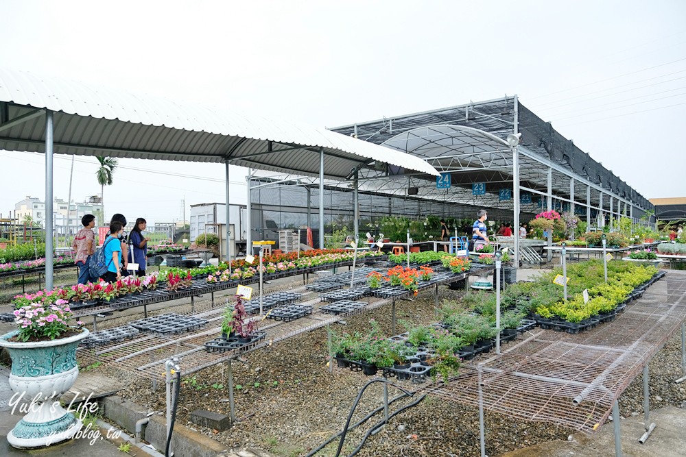 彰化芬園景點【埔茂花市】免門票玩沙坑和溜滑梯，假日親子好去處！ - yuki.tw