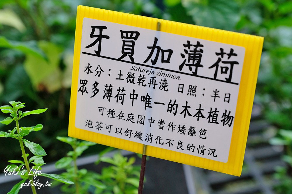 彰化芬園景點【埔茂花市】免門票玩沙坑和溜滑梯，假日親子好去處！ - yuki.tw