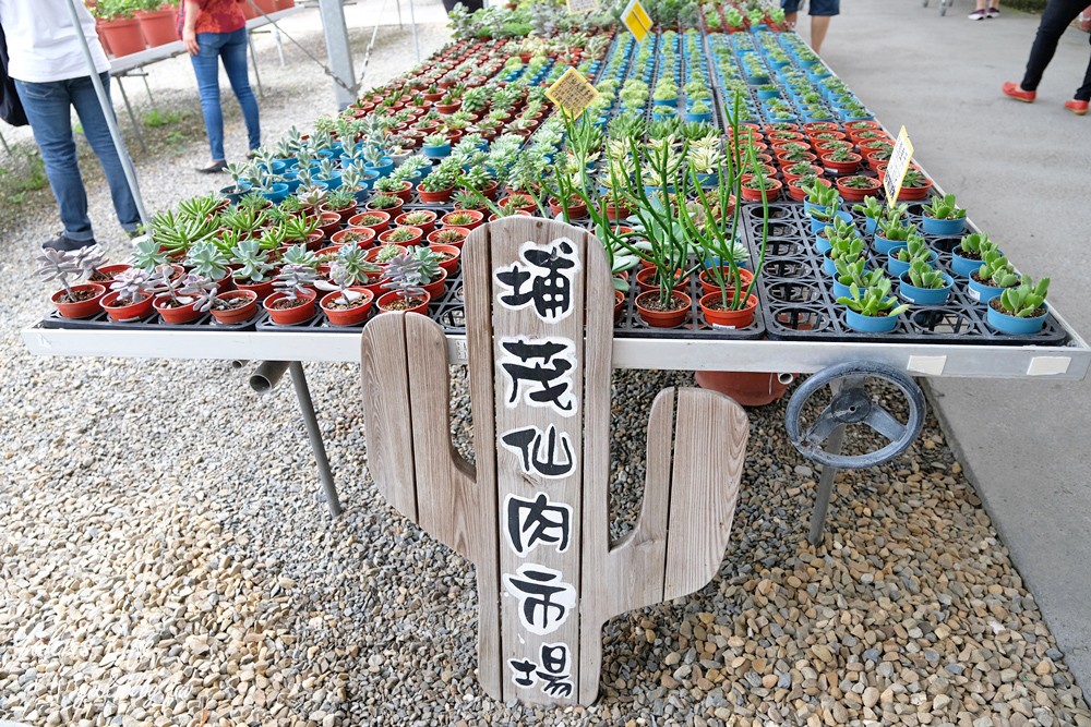 彰化芬園景點【埔茂花市】免門票玩沙坑和溜滑梯，假日親子好去處！ - yuki.tw