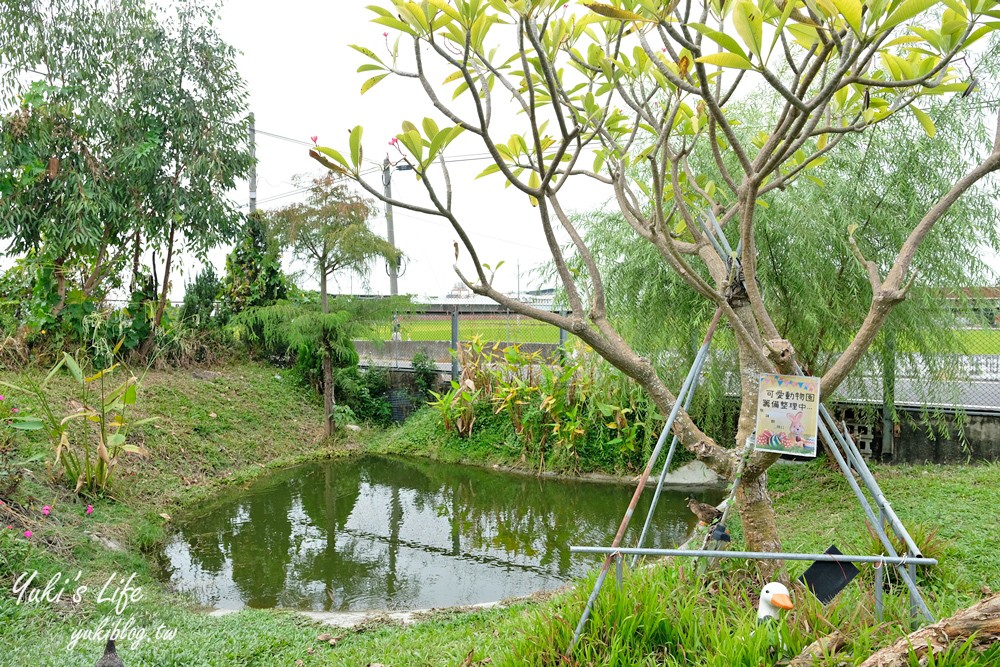 彰化芬園景點【埔茂花市】免門票玩沙坑和溜滑梯，假日親子好去處！ - yuki.tw