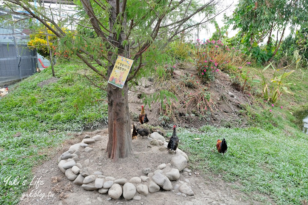 彰化芬園景點【埔茂花市】免門票玩沙坑和溜滑梯，假日親子好去處！ - yuki.tw