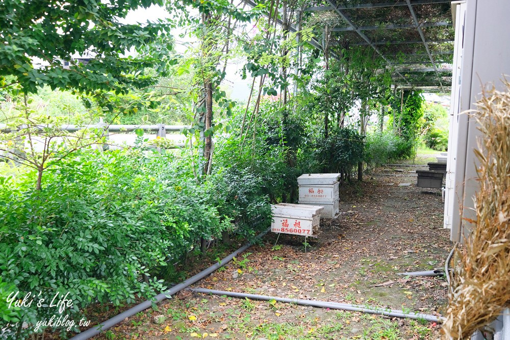 花蓮鳳林景點【蜂之鄉蜜蜂生態教育館】蜂巢樓梯好吸精、伴手禮、生態池 - yuki.tw