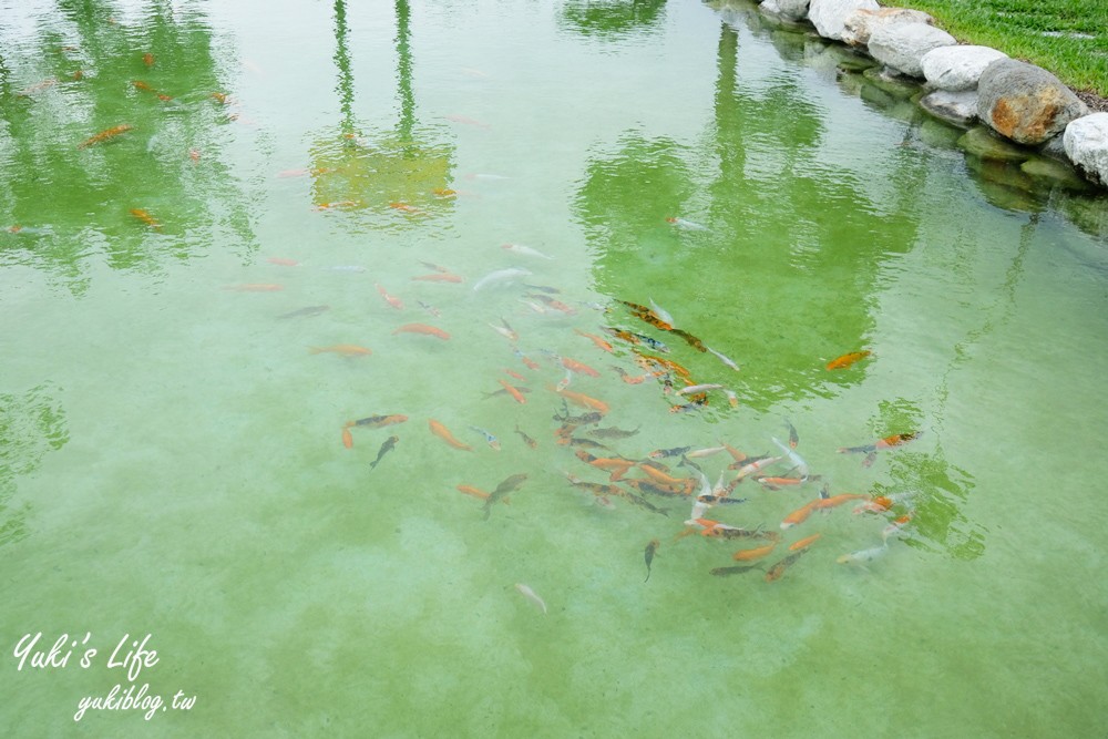 花蓮鳳林景點【蜂之鄉蜜蜂生態教育館】蜂巢樓梯好吸精、伴手禮、生態池 - yuki.tw