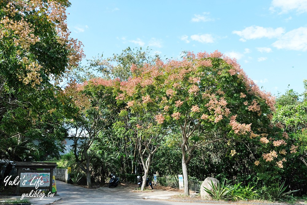 新竹新埔景點【福祥仙人掌與多肉植物園】多肉植物的環遊世界之旅~免費逛 - yuki.tw