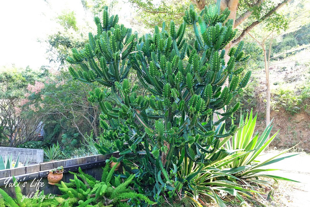 新竹新埔景點【福祥仙人掌與多肉植物園】多肉植物的環遊世界之旅~免費逛 - yuki.tw