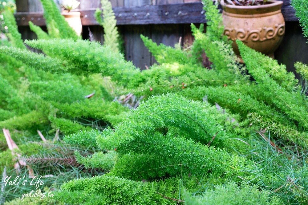 新竹新埔景點【福祥仙人掌與多肉植物園】多肉植物的環遊世界之旅~免費逛 - yuki.tw